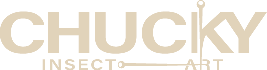 Chucky Insect Art logo footer